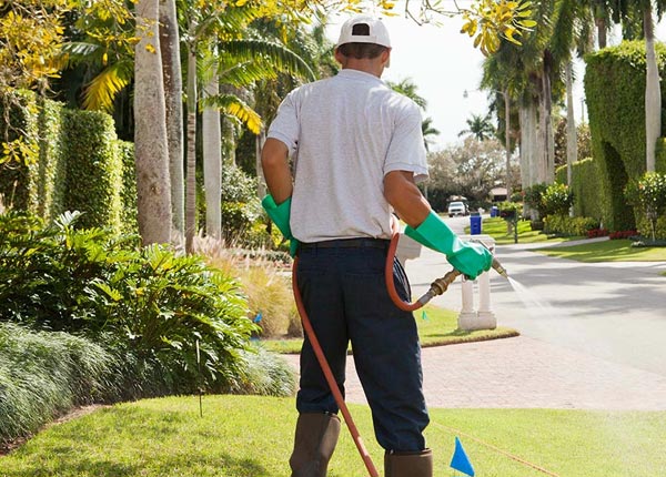 About Blaine ME Pest Control Pros